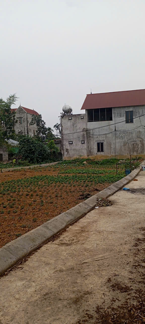 Bán gấp lô 75m Thanh Bình cách ql6 chỉ 300m, giá tốt , ô tô vào tận đất, tiện ích đầy đủ - Ảnh 2